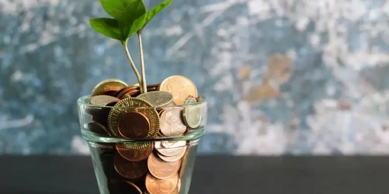 How much does an EOR cost